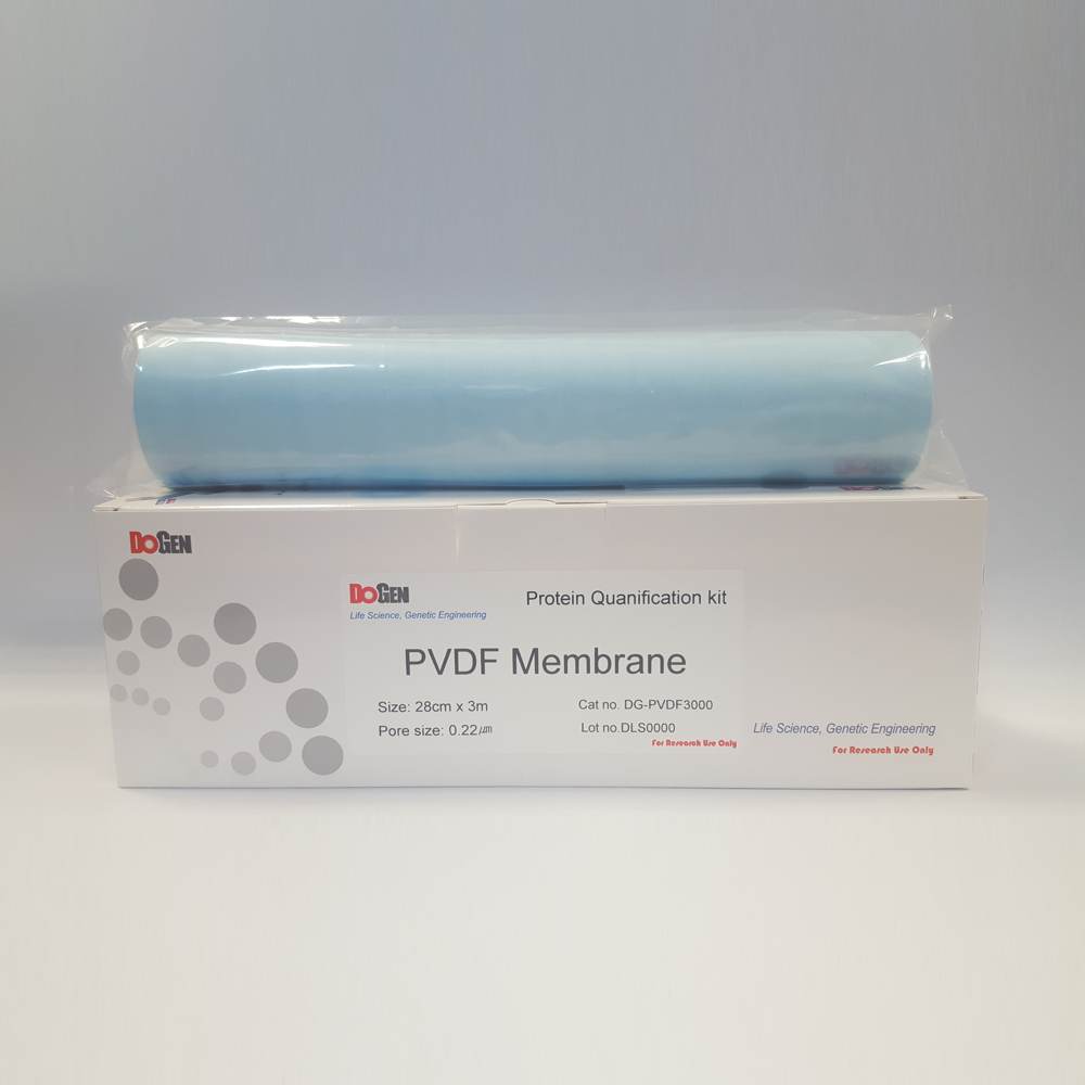 PVDF Membrane